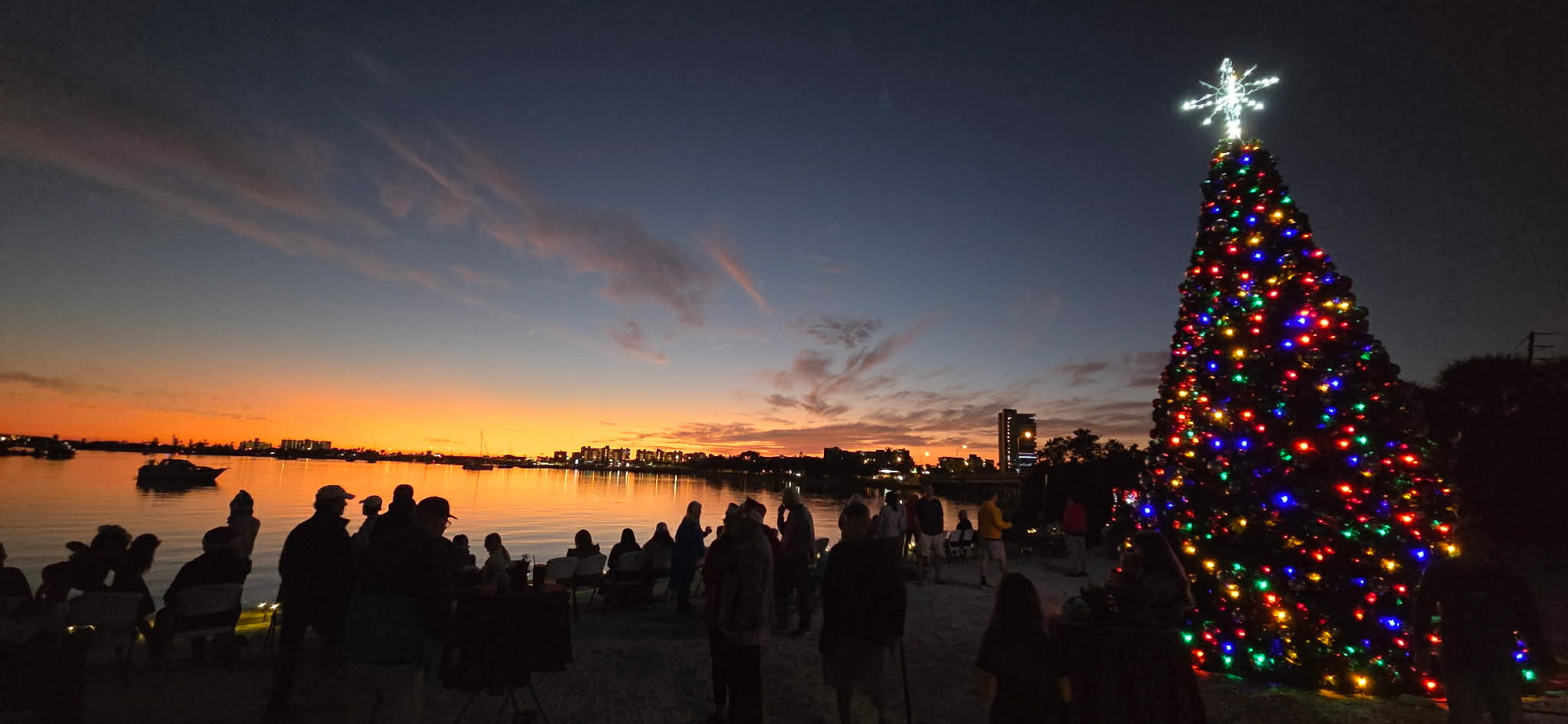 Barbara Gilberg Habitat Sunset with Christmas Tree
